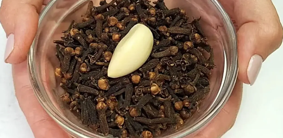Ginseng